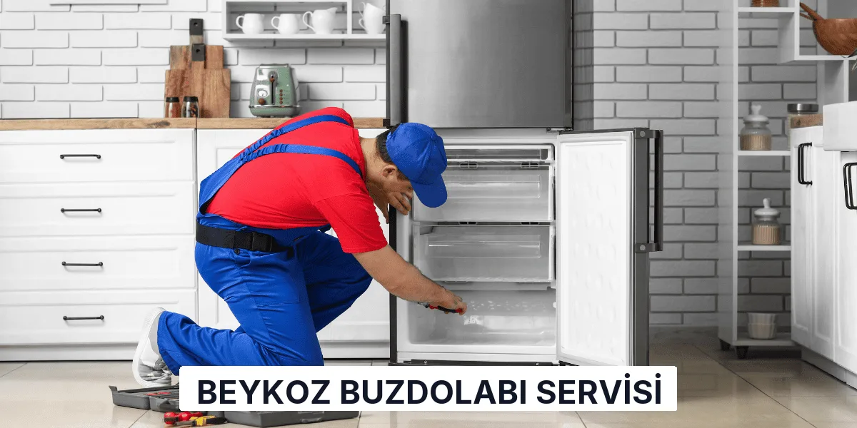 Beykoz Buzdolabı Servisi